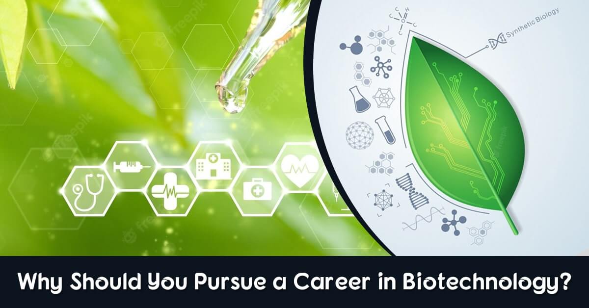 Why Should You Pursue a Career in Biotechnology?